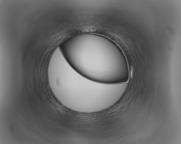 X0000114161444200910081124