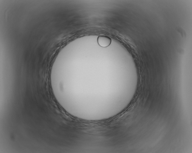 X0000114161445200910081124