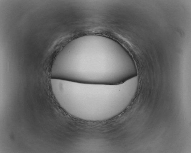 X0000114161447200910081124