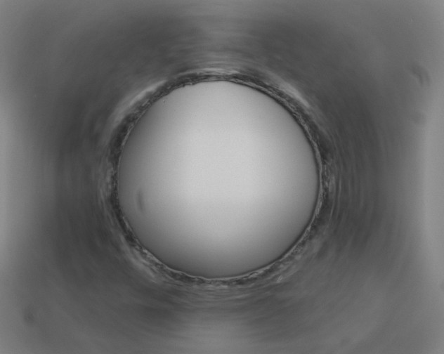 X0000114161448200910081124