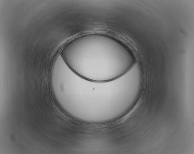 X0000114161449200910081124