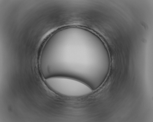 X0000114161452200910081124