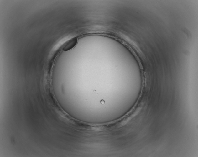 X0000114161453200910081124