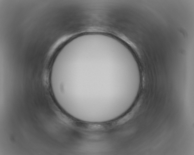 X0000114161454200910081124