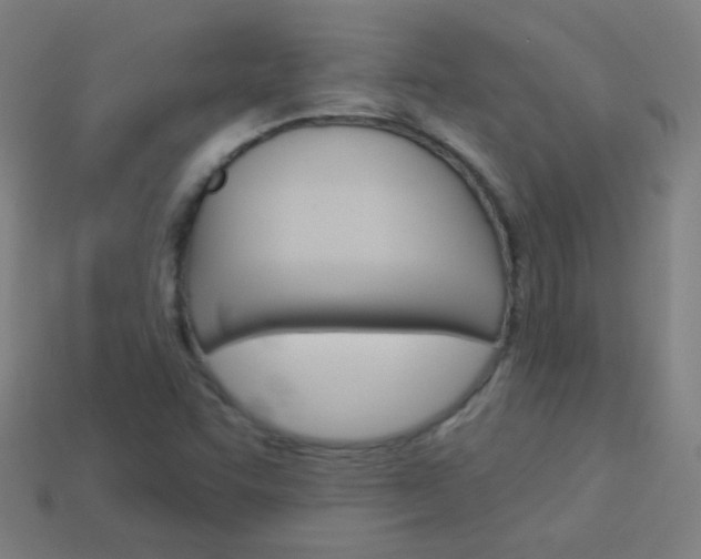 X0000114161455200910081124