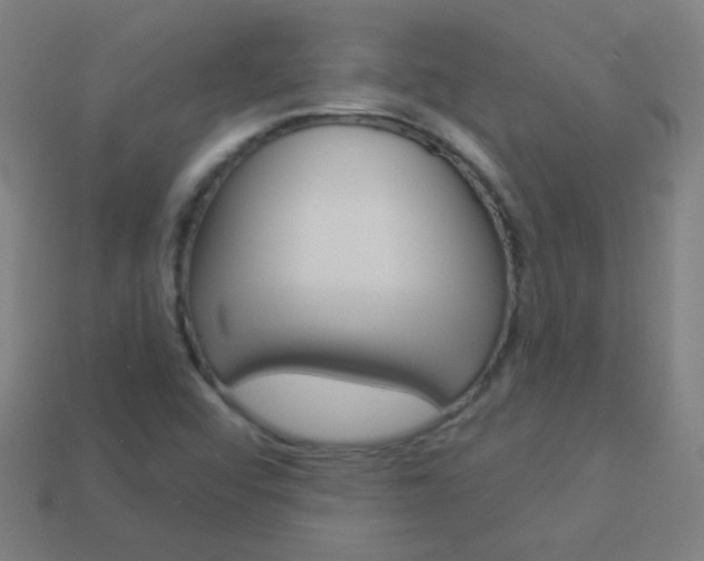 X0000114161456200910081124