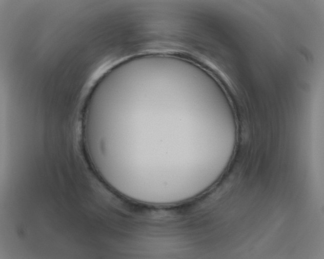 X0000114161459200910081124