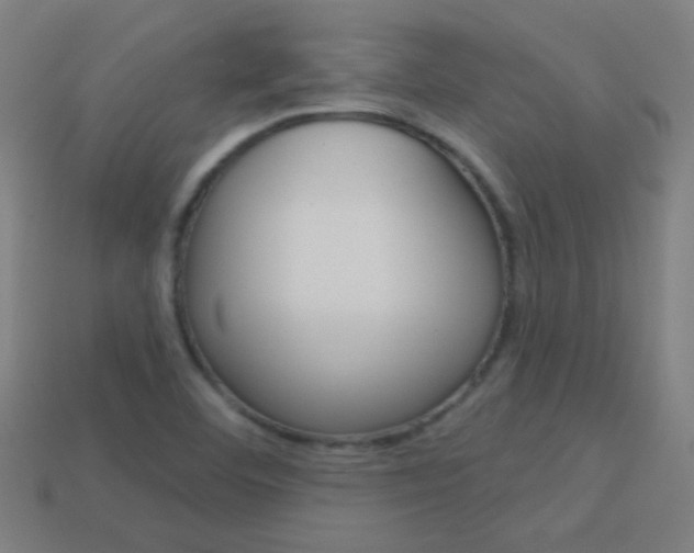 X0000114161460200910081124