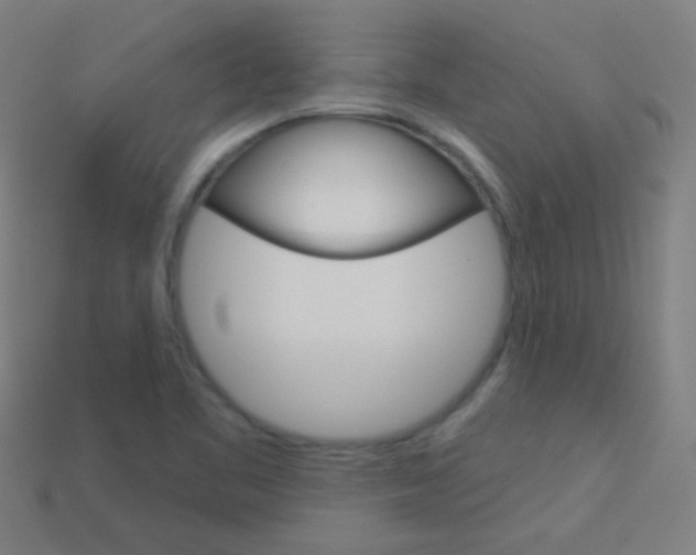 X0000114161461200910081123