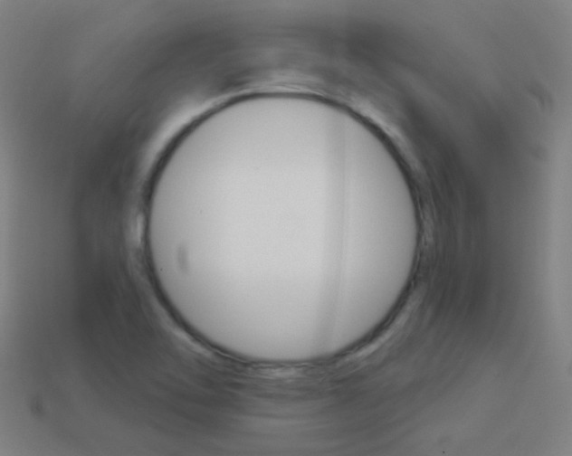 X0000114161462200910081123