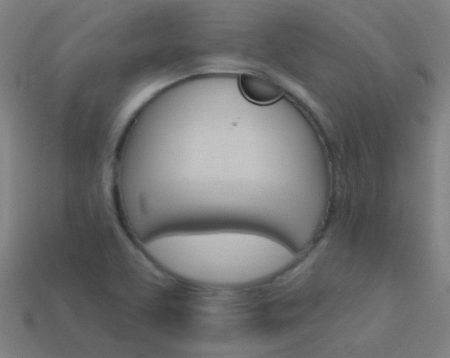 X0000114161463200910081123