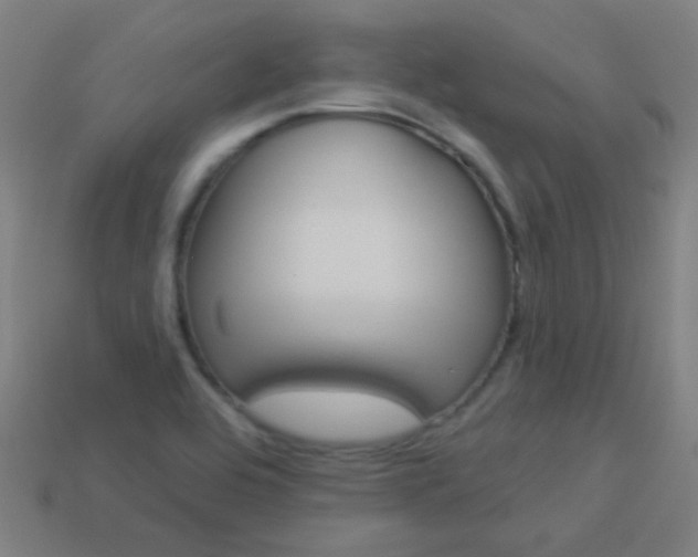 X0000114161464200910081123
