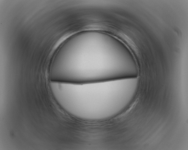 X0000114161465200910081123