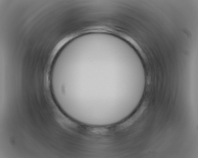 X0000114161466200910081123
