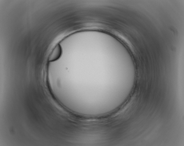 X0000114161467200910081123