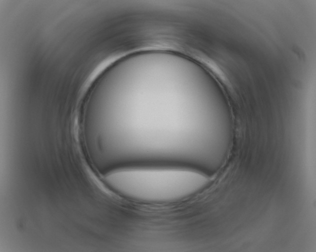 X0000114161468200910081123