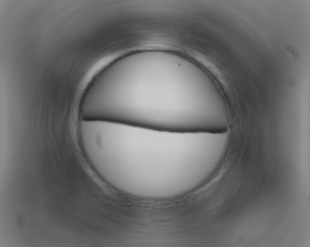 X0000114161469200910081123