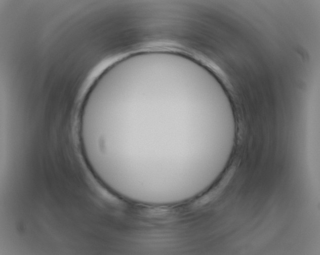 X0000114161470200910081123