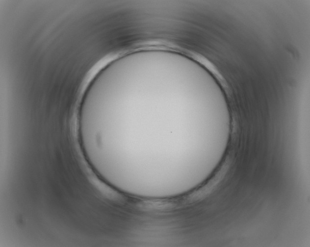 X0000114161474200910081123