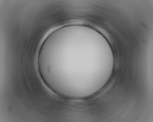 X0000114161475200910081123