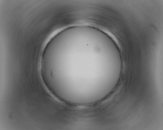 X0000114161477200910081123