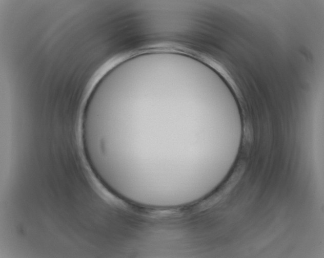 X0000114161482200910081123