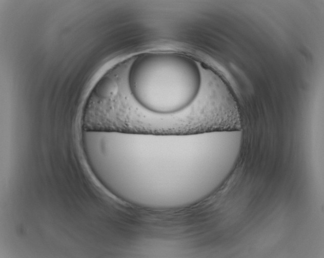X0000114161483200910081123