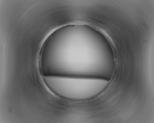 X0000114161484200910081123