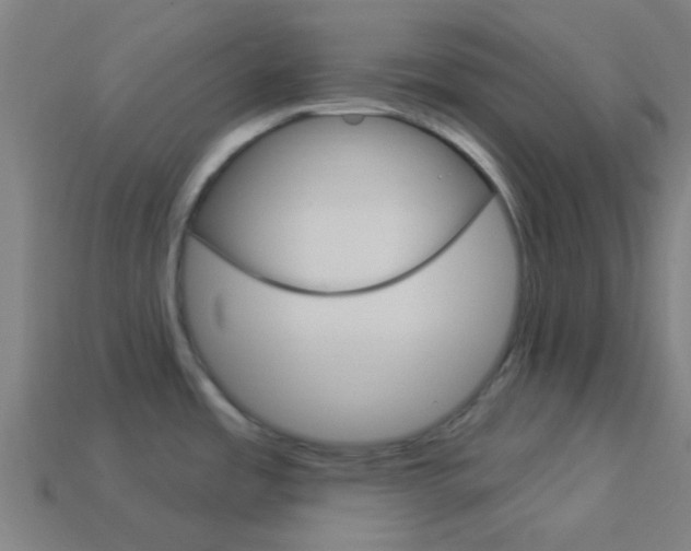 X0000114161485200910081123
