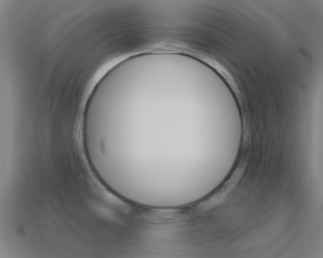 X0000114161486200910081123