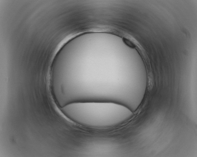X0000114161487200910081123