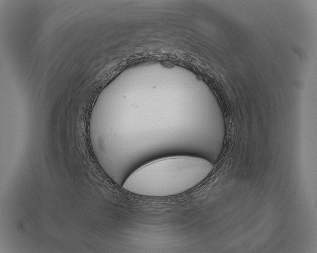 X0000114161489200910081123