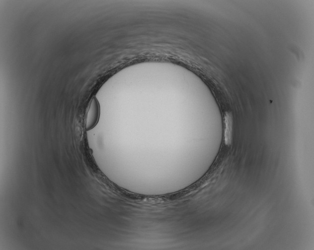 X0000114161491200910081123