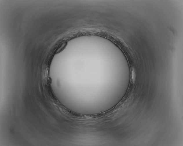 X0000114161492200910081123