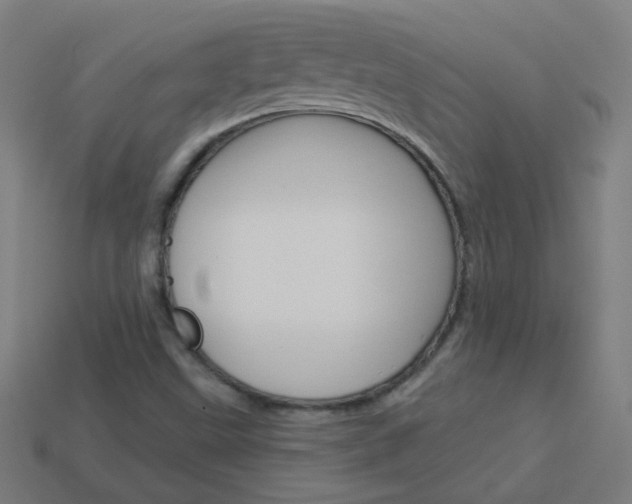 X0000114161499200910081123