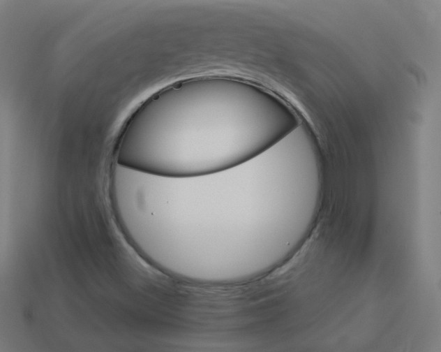 X0000114161500200910081123
