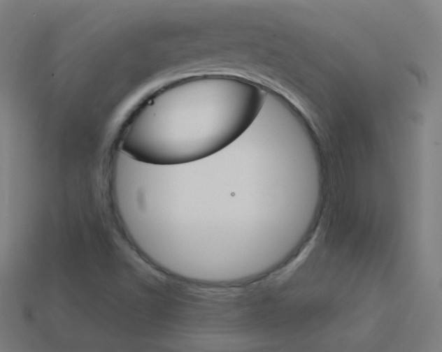 X0000114161502200910081123