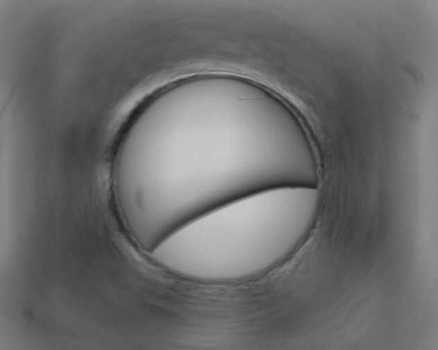 X0000114161503200910081123