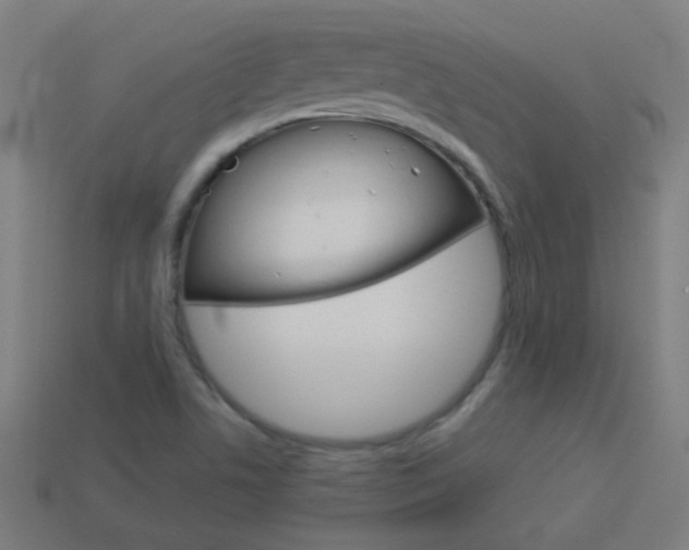X0000114161506200910081123