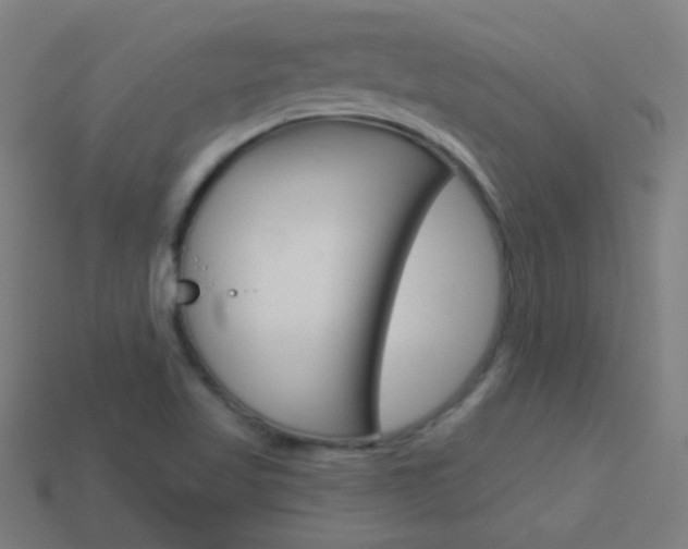 X0000114161509200910081123