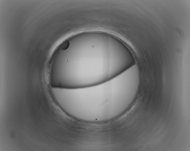 X0000114161510200910081123
