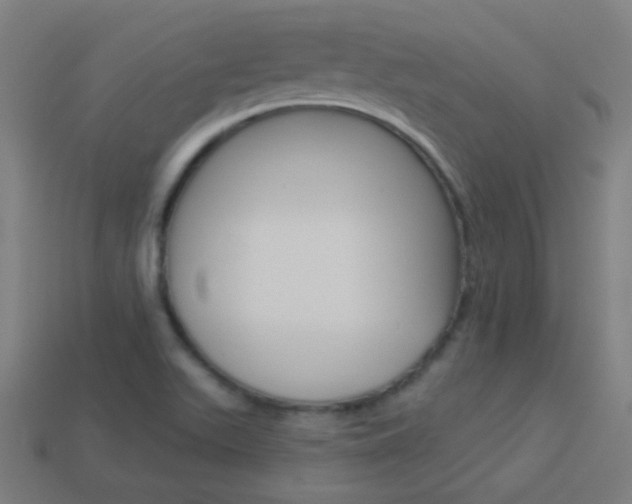 X0000114161511200910081123