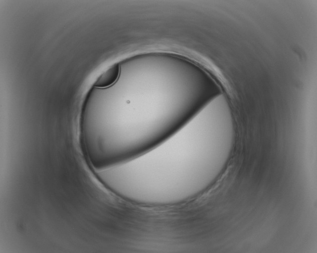 X0000114161512200910081123