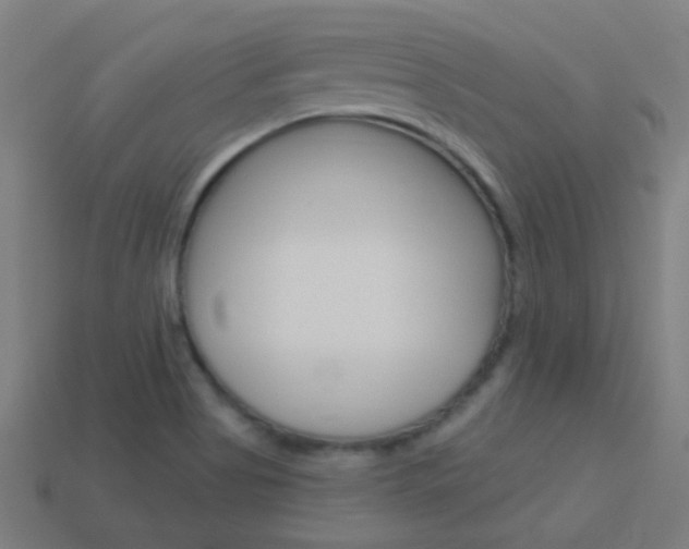 X0000114161513200910081123