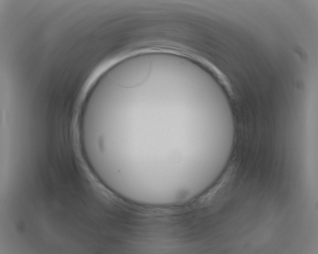X0000114161514200910081123