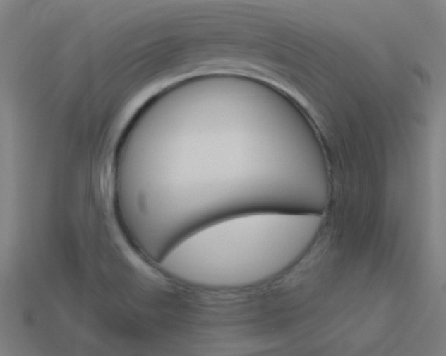 X0000114161515200910081123