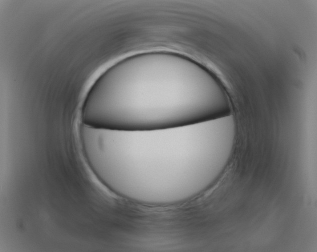 X0000114161516200910081123