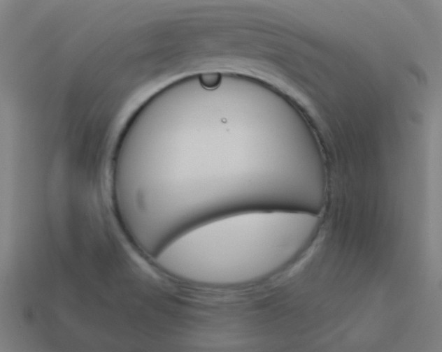X0000114161517200910081123