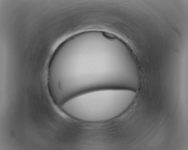 X0000114161519200910081123