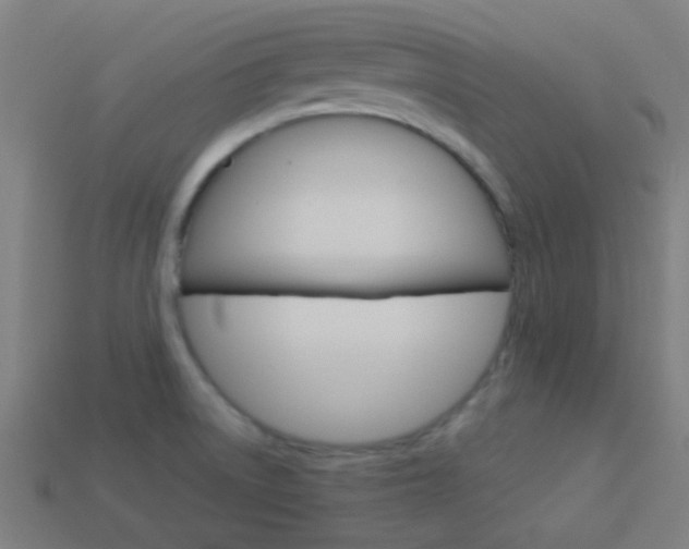 X0000114161522200910081123